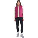 Vesta 4F W 4FWAW25TVJAF218 55S 2 XL