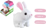 TEDDIES Králik Ben