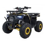 Mamido Detská benzínová štvorkolka RamiGO DISCOVERER 125CC čierno-žltá
