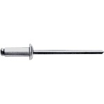 Gesipa 1454614 slepý nit ocel ocel ocel Blindniet St/St 5x10mm Standard KS 4,0-6,0mm 500 ks; 1454614