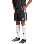 Šortky adidas Tastigo 25 M JN7155 M