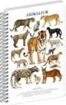 NOTIQUE Animalium - Mačkovité šelmy / Špirálový blok / A4 / štvorčekový