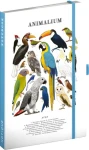 NOTIQUE Notes Animalium - Vtáky / Linkovaný zápisník / A5 / 172 strán