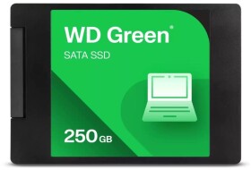 SanDisk WD Green - SSD - 250 TB - cased - intern - 2.5 in (6.4 cm) - SATA 6Gb/s