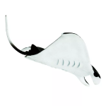 Safari Ltd. Safari Ltd. Figúrka - Manta