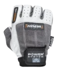 Power system Fitness PS-2300 (02154)