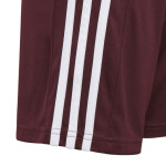 Squadra 21 Short Jr Adidas