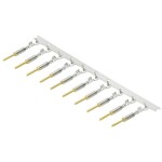 Weidmüller IE-BIC-HYB-P-0,2-300 krimpovacie kontakt, 1135160000, 300 ks; 1135160000