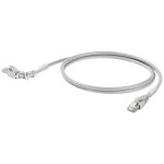 Weidmüller 2703330020 RJ45 sieťové káble, prepojovacie káble CAT 6A S/FTP 2.00 m sivá 1 ks; 2703330020