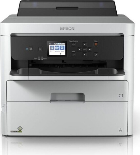 Epson WorkForce Pro WF-C529RDW (C11CG79401)