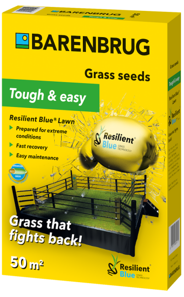 BARENBRUG RESILIENT BLUE Lawn 1 kg