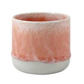 Studio Arhoj Porcelánový hrnček Salmon Stream 300 ml