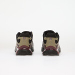 Tenisky Salomon XT-WHISPER GTX Silves/ Huckle/ Maroob EUR 45 1/3
