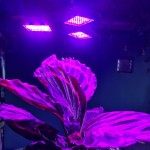 Gardlov 20440 Osvetlenie pre pestovanie rastlín GROW LIGHT E27, 108 LED 8W