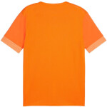Puma teamGoal Matchday Jersey M 705747 08 muži M
