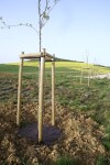 Rozložiteľná ekotextília zo 100% biomasy (s prírodnými vláknami) – Agrotex EKO+  - 157 g/m² 1×50 m [50 m²]