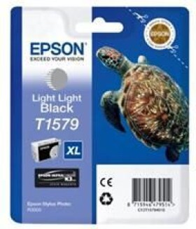 Epson Toner T157940 / C13T15794010 (light black)