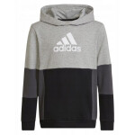 Adidas Colourblock Hoodie Jr HN8563