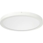 RIDI 322095 322095 LED stropné svietidlo LED biela; 322095