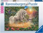 Ravensburger Mystické