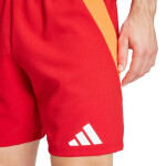 Šortky adidas Tiro 24 Competition Training M IK2245 2XL