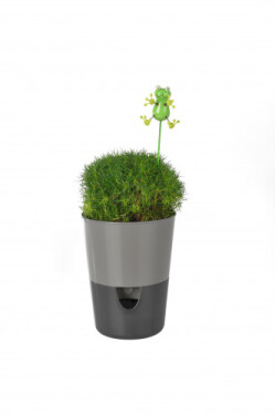 Plastia Samozavlažovací kvetináč Rosmarin sivá/antracit 11 cm