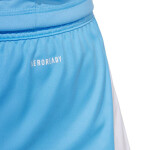 Šortky adidas Tiro 24 M JI6093 L