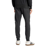Nohavice adidas Essentials Big Logo French Terry M IN6163 S