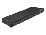 DeLock 19" priemyselný USB hub 13x USB-A čierna / USB hub / USB 3.2 Gen 1 / 5000 Mbit/s / kov (64039)