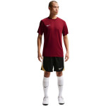 Pánske tričko Nike Dri-Fit Park VIII Burgundy HV8173 677 Pánske XL