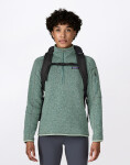 Patagonia Black Hole Pack 25L Black w/Black
