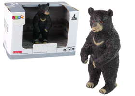 Set Bear Bear Animals