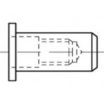 TOOLCRAFT TO-5455281 slepá nitovacie matice M8 250 ks; TO-5455281