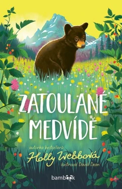 Zatoulané medvídě, Webbová Holly