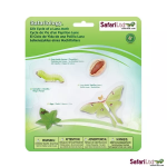 Safari Ltd. Safari Ltd. Životný cyklus - Mora