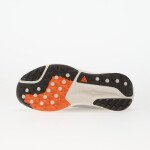 Tenisky Nike Acg Pegasus Jade Horizon/ Phantom-Light Silver EUR 38