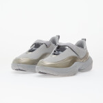 Tenisky Jordan W Pointe Metallic Silver/ Photon Dust-Smoke Grey EUR 42