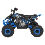Mamido Detská benzínová štvorkolka RamiGO DESERT STORM LIFT 125CC modrá