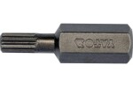 YATO YT-78190 / Bit viaczubý 8 mm M5 x 30 mm / 10 ks / S2 (YT-78190)