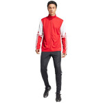 Mikina adidas Squadra 25 Training M JD2979 men M