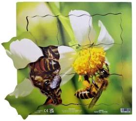 Just Jigsaws 600 Včela a jej životný cyklus - drevené vrstvené puzzle