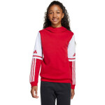Adidas Squadra 25 Sweat Hoody Jr JD4805 Mikina 152CM