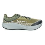 Altra Torin 9 GTX Dark Olive/Silver/Night Owl pánske športové tenisky 44 EUR