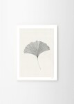 THE POSTER CLUB Autorský plagát Ginkgo Leaf by Ana Frois 30x40 cm