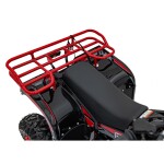 Mamido Detská benzínová štvorkolka RamiGO EXPLORER 110CC červená