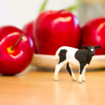 Safari Ltd. Safari Ltd. Holštajnské teľa