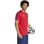 Adidas Arsenal London DNA Tee M IT4104 tričko muži S