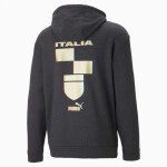 Pánska mikina Puma Figc Ftbl Coulture Hoody 767136-09