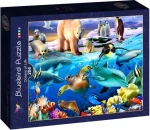 BlueBird Puzzle Oceány života