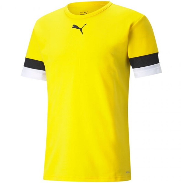 Pánske tréningové tričko teamRise Jersey 704932 07 Puma